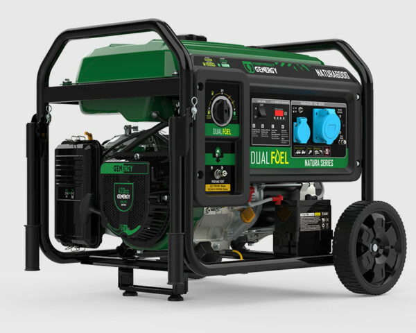 GENERADOR NATURA 6000 5500W